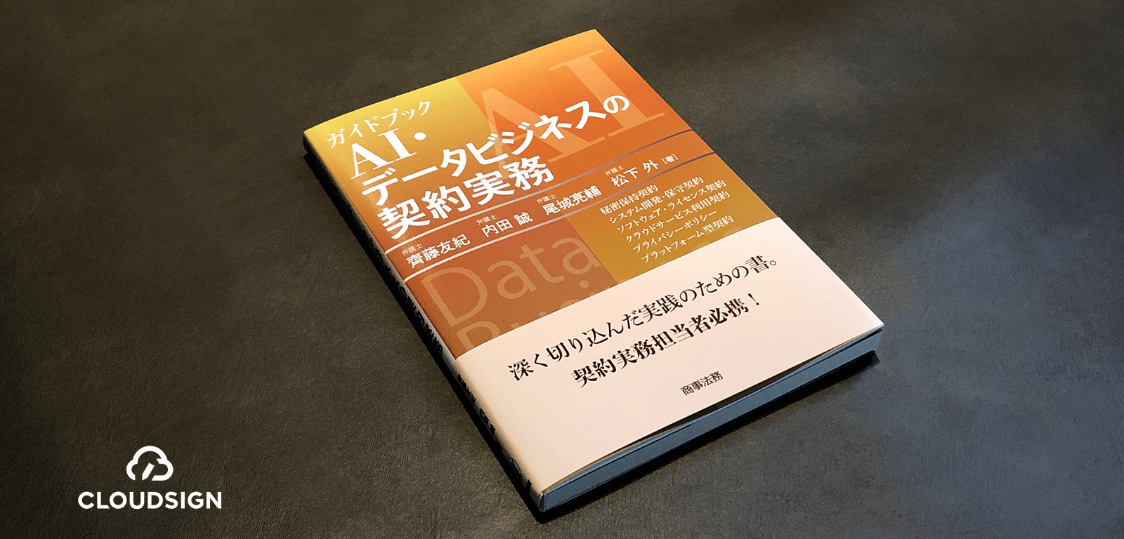 AIベンダーたるものデータ法こそマスターせよ—齊藤友紀・内田誠・尾城亮輔・松下外『ガイドブック AI・データビジネスの契約実務』