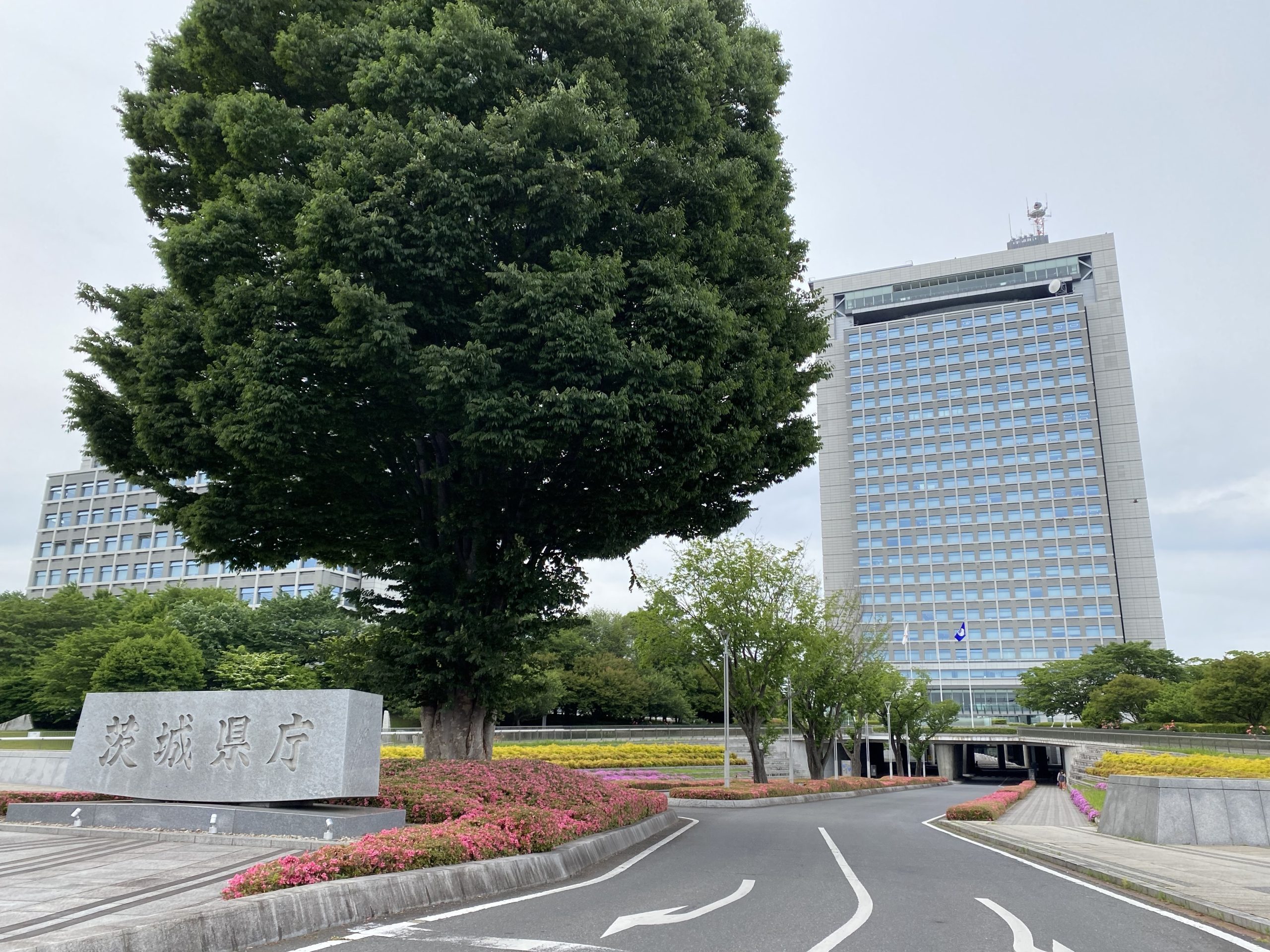 都道府県で初めて立会人型電子契約サービスを導入した茨城県庁。スピーディーなデジタル化の成功要因は？